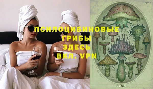 ПСИЛОЦИБИНОВЫЕ ГРИБЫ Алексеевка