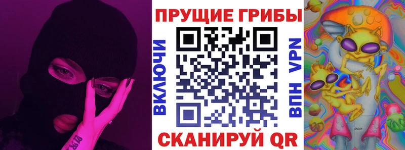 гидра ТОР  Полевской  Галлюциногенные грибы Psilocybe 
